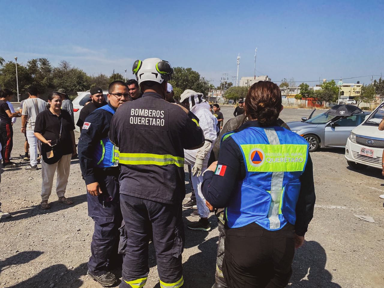 Las autoridades recomiendan no agredir panales de abejas y resguardarse de inmediato si se detecta uno.